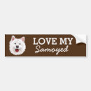 Search for samoyed bumper stickers Pets