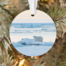 Search for iceberg christmas tree decorations Arctic