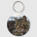 Search for action key rings Animal