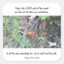 Search for heart leaf stickers Photography