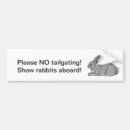 Search for white rabbit bumper stickers Bunny