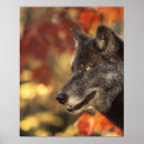 Search for wolfs posters Dog