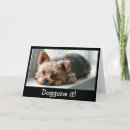 Search for yorkshire terrier dog birthday cards Puppies