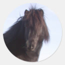 Search for pony stickers Equestrian