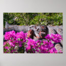 Search for topics posters Architecture