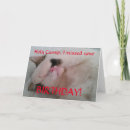 Search for cat humour cards Pet