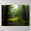Search for wood wall posters Woods