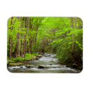 Search for smokey mountain magnets Ann collins