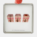 Search for human body part christmas tree decorations View