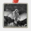 Search for naples florida christmas tree decorations Black and white