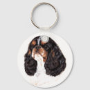 Search for charlies key rings Spaniel