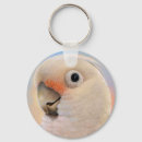Search for bird portrait key rings Wild life