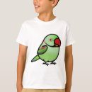 Search for ringneck tshirts Indian ringneck parakeet