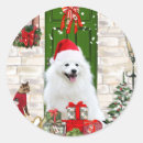 Search for spitz stickers Pet