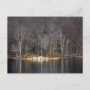 Search for ecology postcards Trees