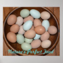 Search for egg posters Healthy