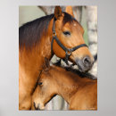 Search for headshot posters Mare