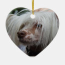 Search for chinese crested dog christmas tree decorations Breed