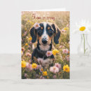 Search for dachshund get well cards Dog