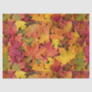 Search for autumn leaves tissue paper Orange