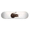 Search for adventures skateboards Cat