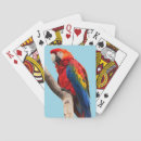 Search for parrot playing cards Birds