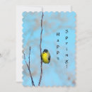 Search for finch cards Yellow