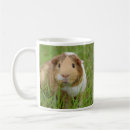 Search for cute pig mugs Cavy