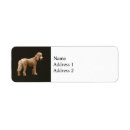 Search for apricot return address labels Poodle