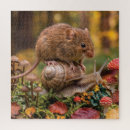 Search for mouse puzzles Nature