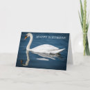 Search for swan birthday cards Birds