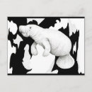 Search for chris postcards Black