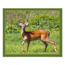 Search for deer hunting posters Outdoorsman