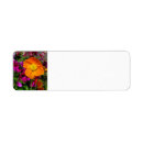 Search for poppy return address labels Garden