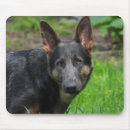 Search for gsd mousepads Puppy