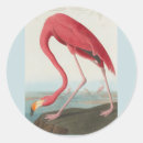 Search for audubon stickers Wildlife