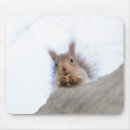 Search for walnut mousepads Squirrel