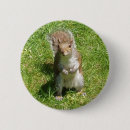 Search for squirrel photos badges Cute