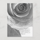 Search for black and white rose postcards Pretty