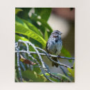 Search for sparrow puzzles Animals