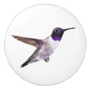Search for hummingbird knobs and pulls Wildlife
