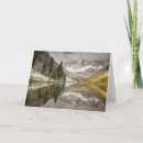Search for colorado river cards Forest