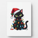 Search for funny christmas plaques Crazy cat lady