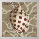 Search for seaside posters Seashells