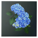 Search for hydrangea tiles Blue