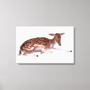 Search for cut out art Animal