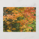 Search for seasons change postcards Fall