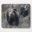 Search for grizzly mousepads Bear