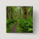 Search for moss badges Fern