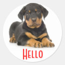 Search for rottweiler stickers Dog